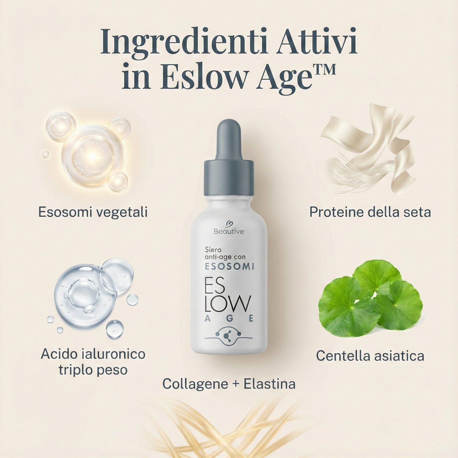 VitaLume - immagine 4